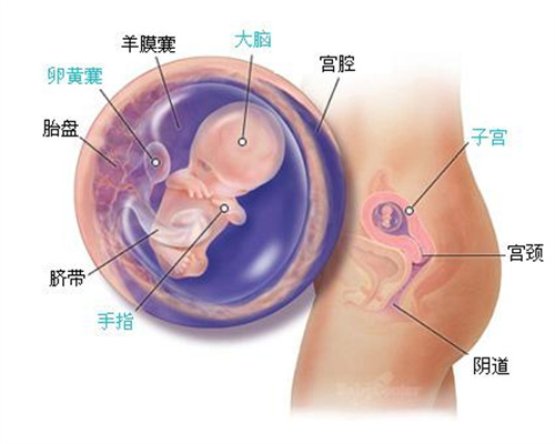 宝，好孕求男泰国2个岁内试管膜薄月内成功